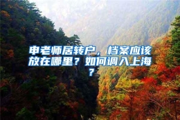 申老师居转户，档案应该放在哪里？如何调入上海？