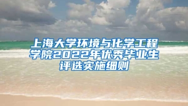 上海大学环境与化学工程学院2022年优秀毕业生评选实施细则