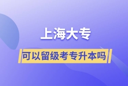 上海大专可以留级考专升本吗？