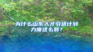 为什么山东人才引进计划力度这么弱？