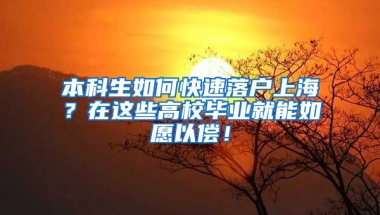 本科生如何快速落户上海？在这些高校毕业就能如愿以偿！