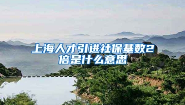 上海人才引进社保基数2倍是什么意思