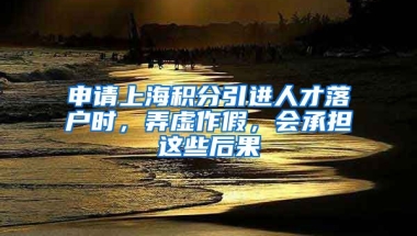 申请上海积分引进人才落户时，弄虚作假，会承担这些后果