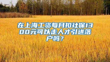 在上海工资每月扣社保1300元可以走人才引进落户吗？