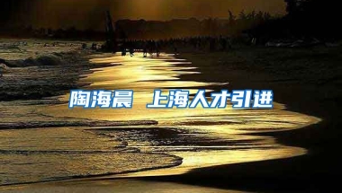 陶海晨 上海人才引进