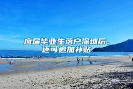 应届毕业生落户深圳后、还可追加补贴