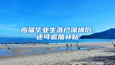 应届毕业生落户深圳后、还可追加补贴