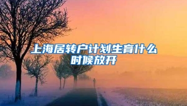 上海居转户计划生育什么时候放开