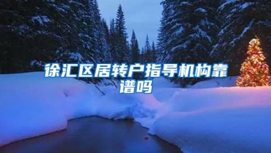 徐汇区居转户指导机构靠谱吗