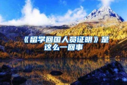 《留学回国人员证明》是这么一回事