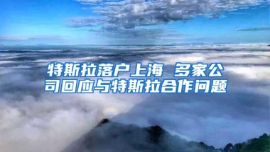 特斯拉落户上海 多家公司回应与特斯拉合作问题