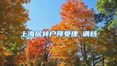 上海居转户预受理 调档