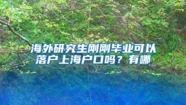 海外研究生刚刚毕业可以落户上海户口吗？有哪