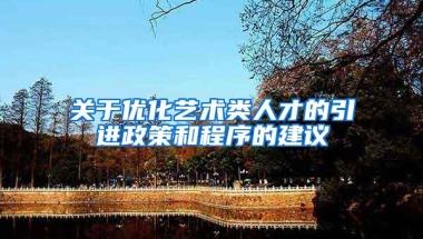 关于优化艺术类人才的引进政策和程序的建议