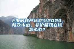 上海居转户延期至2024，新政未出，非沪籍现在该怎么办？