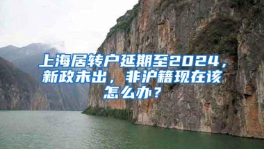 上海居转户延期至2024，新政未出，非沪籍现在该怎么办？