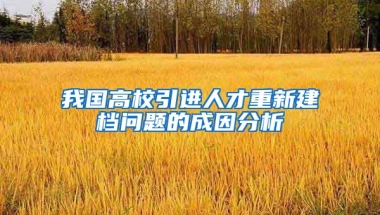 我国高校引进人才重新建档问题的成因分析