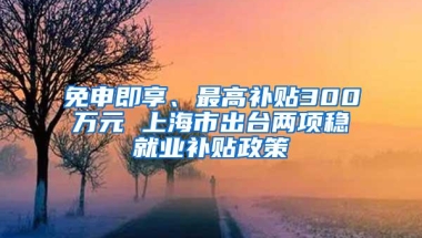 免申即享、最高补贴300万元 上海市出台两项稳就业补贴政策