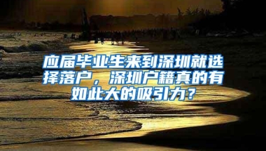 应届毕业生来到深圳就选择落户，深圳户籍真的有如此大的吸引力？