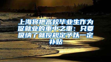 上海将把高校毕业生作为促就业的重中之重：只要吸纳了就按规定予以一定补贴