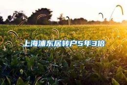 上海浦东居转户5年3倍