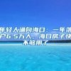 年轻人涌向海口：一年落户6.5万人，海口房子快不够用了