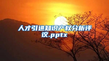 人才引进知识产权分析评议.pptx