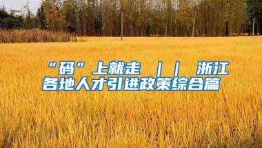 “码”上就走 ｜｜ 浙江各地人才引进政策综合篇