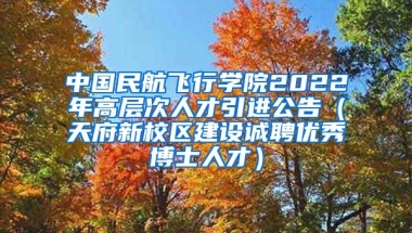 中国民航飞行学院2022年高层次人才引进公告（天府新校区建设诚聘优秀博士人才）