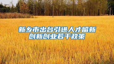 新乡市出台引进人才留新创新创业若干政策