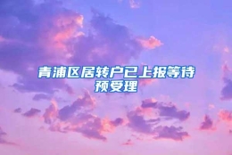 青浦区居转户已上报等待预受理