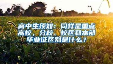 高中生须知：同样是重点高校，分校、校区和本部毕业证区别是什么？