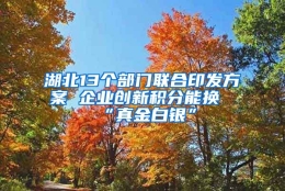 湖北13个部门联合印发方案 企业创新积分能换“真金白银”