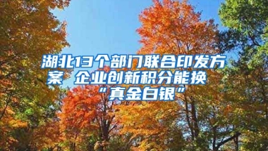 湖北13个部门联合印发方案 企业创新积分能换“真金白银”